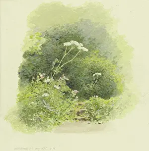 Garden scene in Michelstadt, 1875. Creator: Carl Theodor Reiffenstein