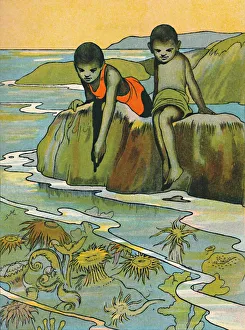 North And Central America Collection: A Garden in the Sea, 1912. Artist: Charles Robinson