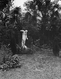Garden with a statue, New Orleans or Charleston, South Carolina, between 1920 and 1926. Creator: Arnold Genthe