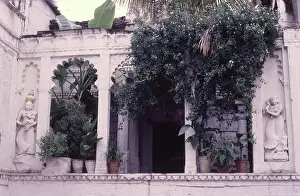Tropical Prints: Garden, Udaipur, India, 1988. Creator: Amanda Waite