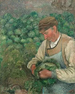 Camille Collection: The Gardener - Old Peasant with Cabbage, 1883-1895. Creator: Camille Pissarro