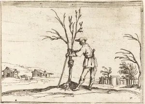 Pruning Prints: Gardener Pruning a Tree, 1628. Creator: Jacques Callot