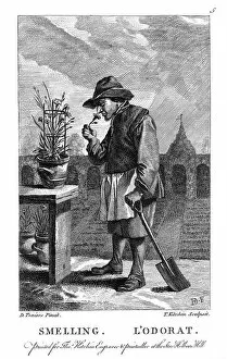 Smell Collection: Gardener smelling a carnation or pink (Dianthus), c1750. Artist: Thomas Kitchin