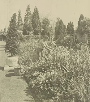 Kipling Rudyard Prints: Gardener tending floral border, posed to