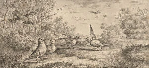 Albert Flamen Gallery: Garrulus, Gey (The Jay): Livre d Oyseaux (Book of Birds), 1655-1660