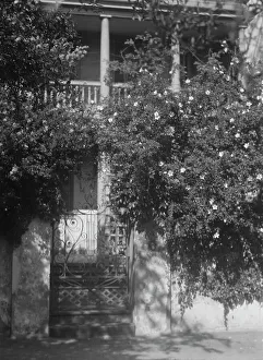 City Garden Prints: Gate to house garden, [George Eveleigh House