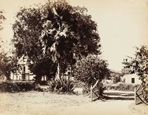 Calcutta Prints: Gate Leading into Our House, 1850s. Creator: Captain R. B. Hill