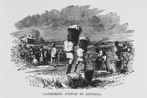 Vizetelly Company Prints: Gathering cotton in Georgia, 1882. Creator: Unknown