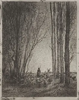 Gathering in the Flock, original impression 1862, printed in 1921 Gathering in the Flock, original impression 1862, printed in 1921