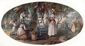 William Hamilton Prints: Gathering Fruit, late 18th century. Artist: William Hamilton