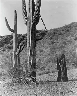 Pole Prints: Gathering hasen-Qahatika, c1907. Creator: Edward Sheriff Curtis