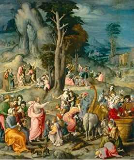 Israelites Gallery: The Gathering of Manna, 1540 / 1555. Creator: Bacchiacca