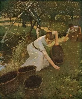 Stream Gallery: Gathering Plums, 1901, (c1930). Creator: Henry Herbert la Thangue