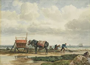 Co Operation Prints: Gathering seaweed, 1860s-1880s. Creator: Richard Beavis