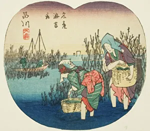 Section Of Harimaze Sheet Prints: Gathering Seaweed at Omori in Shinagawa (Shinagawa)