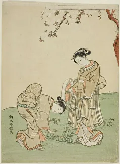 Hues Prints: Gathering Spring Flowers, c. 1767. Creator: Suzuki Harunobu