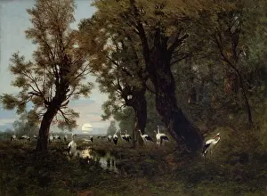 Wading Bird Prints: A Gathering of Storks, 1879. Creator: Wladyslaw Malecki