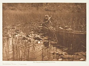Gathering Tules-Cowichan, 1912. Creator: Edward Sheriff Curtis