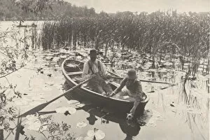 Rowing Gallery: Gathering Water-Lilies, 1886. Creator: Dr Peter Henry Emerson