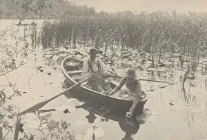Waterlilies Gallery: Gathering Water-Lilies, 1886. Creator: Dr Peter Henry Emerson
