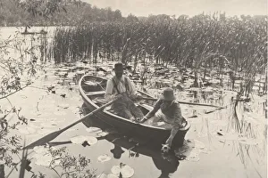 Floating Prints: Gathering Water-Lilies, 1886. Creator: Dr Peter Henry Emerson