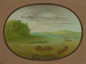 Canoe Gallery: Gathering Wild Rice - Winnebago, 1861 / 1869. Creator: George Catlin