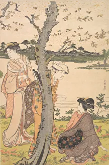 Gathering Young Flowers, late 18th century. Creator: Katsukawa Shuncho Gathering Young Flowers, late 18th century. Creator: Katsukawa Shuncho