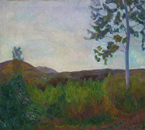Bushes Prints: From Gausdal, 1910. Creator: Thorvald Erichsen