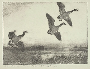Goose Prints: Three Geese, 1936. Creator: Frank Weston Benson