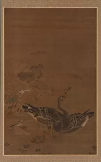 Plumage Gallery: Two Geese Feeding in a Lotus Pond, Ming dynasty, 16th-17th century. Creator: Unknown