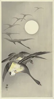 Koson 1877 1945 Prints: Geese at full moon. Creator: Ohara, Koson (1877-1945)