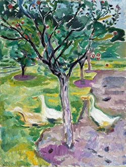 Geese in an Orchard, c. 1911. Artist: Munch, Edvard (1863-1944) Geese in an Orchard, c. 1911. Artist: Munch, Edvard (1863-1944)