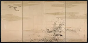 Geese, Reeds, and Water, 1800s. Creator: Yamamoto Baiitsu (Japanese, 1783-1856)