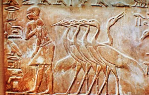 Goose Prints: Geese, wall relief from the Tomb of Ptahhotep, Saqqara, Egypt, 24th century BC
