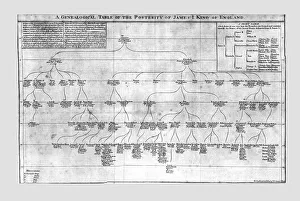 A Genealogical Table of the Posterity of James I King of England, c1725. Creator: Unknown A Genealogical Table of the Posterity of James I King of England, c1725. Creator: Unknown