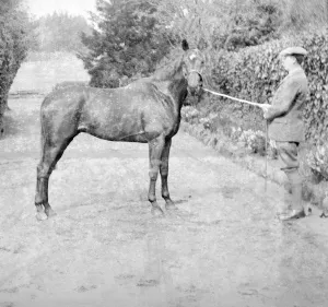 Ownership Prints: General Seelys Warrior, Isle of Wight, April 1922. Creator: Kirk & Sons of Cowes