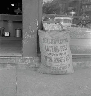 Seed Prints: Front of general store in small cotton town, Texas, 1937. Creator: Dorothea Lange