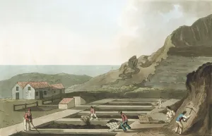 Wheelbarrow Prints: General view of an Alum works in the Whitby area, Yorkshire, 1814. Artist: Havell & Son