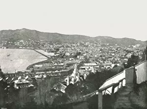 Wellington Collection: General view of the city, Wellington, New Zealand, 1895. Creator: Unknown