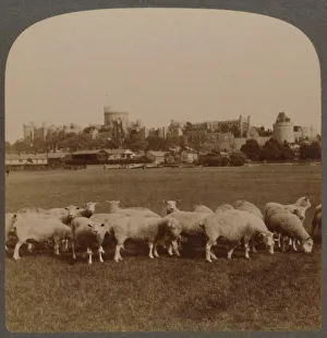 Berkshire Prints: General View Windsor Castle, England, 1896. Creator: Unknown