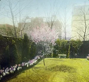 Massachusetts Avenue Prints: General William Crozier house, 1735 Massachusetts Ave