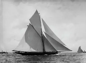 Genesta, c1885. Creator: Johns Johnston