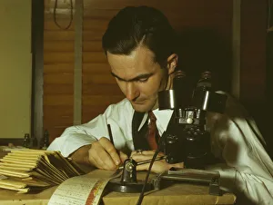 Geologist Gallery: Geologist examining cuttings from wildcat well, Amarillo, Texas, (1943?). Creator: John Vachon