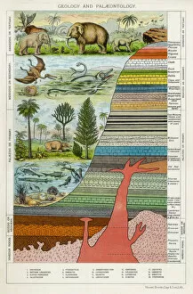 Geology and Palaeontology, c1880