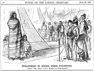 Theory Of Evolution Prints: George du Maurier cartoon from Punch illustrating Darwinism