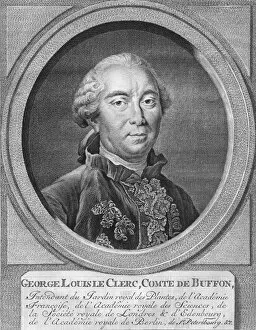 Comte De Buffon Gallery: George Louis Le Clerc, Comte De Buffon, 1774. Creator: Jacobus Houbraken