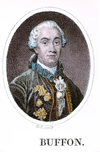 Darwin Prints: George-Louis Leclerc, Comte de Buffon, French naturalist, 18th century. Artist: Holl