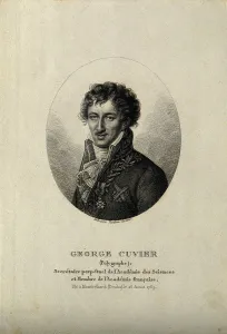 Tardieu Prints: Georges Leopold Chretien Frederic Dagobert, Baron de Cuvier (1769-1832)