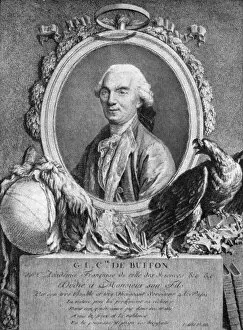 Comte De Buffon Gallery: Georges-Louis Leclerc, Comte de Buffon, French naturalist, 18th century