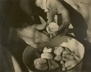 Apple Collection: Georgia O Keeffe - Hands, 1920 / 22. Creator: Alfred Stieglitz